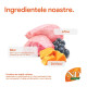 ND Pumpkin Lamb Blueberry hrana pisici sterilizate adulte 1.5 kg